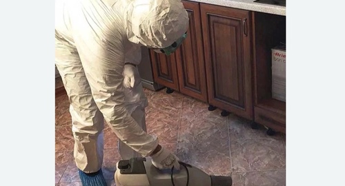 Уничтожение тараканов в квартире. Ставрополь